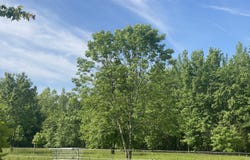 2205 N County Road 280 E, North Vernon, IN 47265