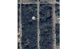 ANNETTE AVENUE, INTERLACHEN, FL 32148