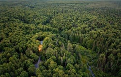 10958 Camp Ground Road, Forestport, NY 13338