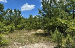 Feather Run Road, Kershaw, SC 29067