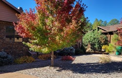 3120 W Black Oak Loop, Show Low, AZ 85901