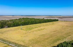 highway 367, Swifton, AR 72471