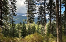 NHN MT Hwy 200, Trout Creek, MT 59874