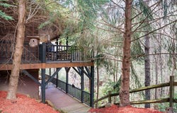 325 Trickling Branch Way, Murphy, NC 28906