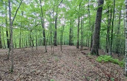 2 Cherokee Lane, McCaysville, GA 30555