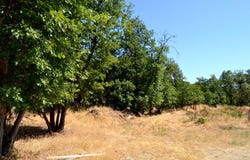 785 Harris Road, Grants Pass, OR 97526