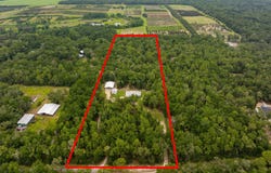 24401 Hidden Woods Road, Brooksville, FL 34601