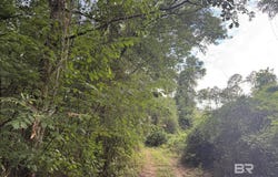 1 Old Stage Road, Repton, AL 36475