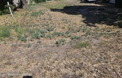 136 E 1st Street, Parachute, CO 81635