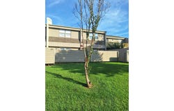 135 Hillview Drive, Fairfield Bay, AR 72088