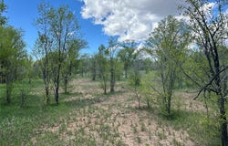 412 S Grand Avenue, Las Vegas, NM 87701