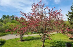 237 Lebanon Road, Winterport, ME 04496