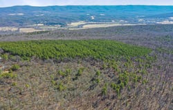 LOT66&67 BAKER MOUNTAIN DRIVE, WARDENSVILLE, WV 26851