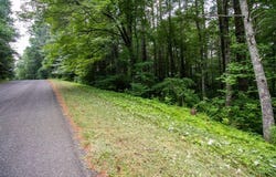 Lot 28 Manor House Dr, Laurel Fork, VA 24352