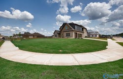 13845 Sand Trap Drive, Athens, AL 35611