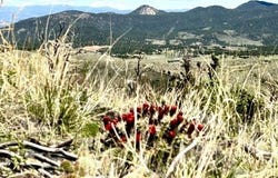 TBD Vacant Land, Cotopaxi, CO 81223