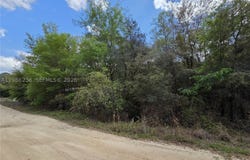 5821 CRATER LAKE CIR S, FL 32656
