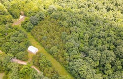 12960 Canyon Road, Dixon, MO 65459