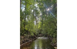 0 Lee Road 126, Salem, AL 36874