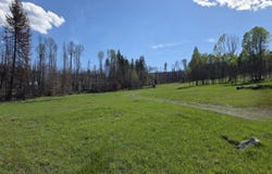 2433B WIDOW RD, COLVILLE, WA 99114
