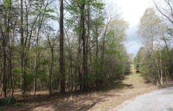 WIND ROW Ln, Bremen, AL 35033