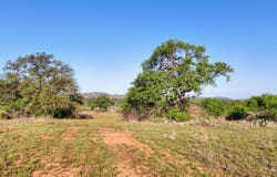 6540 CR 409, Valley Spring, TX 76885