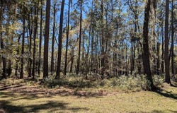 30 Volunteers Ridge, Daufuskie Island, SC 29915
