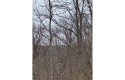 Alsept Fork Road (Map #: 008-00-00-014), Salyersville, KY 41465