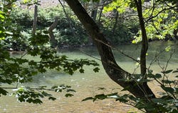 WESTERNPORT Road SW, WESTERNPORT, MD 21562