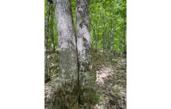 TBD Off State Highway M-26, Painesdale, MI 49955