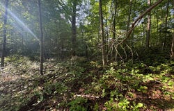Tba Meadow Run Lane, Hillsville, VA 24343