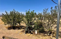 316-14-222 HOPI, Dolan Springs, AZ 86441