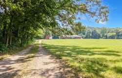 3801 Stillson Road, Stockbridge, MI 49285