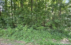 .46 Acres 10th Street NW, Arab, AL 35016