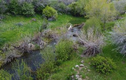 7900 County Road 41, Hamilton, CO 81638