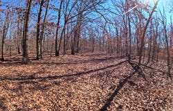 Tract A Greatview Lane, Lebanon, MO 65536