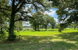 00000 Lot 7 Mullins Avenue, Humboldt, TN 38343