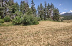 Ehorn Ln, Chewelah, WA 99109