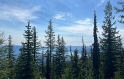 L3 B2 Tall Timber, Sandpoint, ID 83864