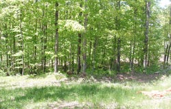 On HWY 169, Mellen, WI 54546