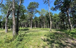 Tract F AR 7 South, Jasper, AR 72641