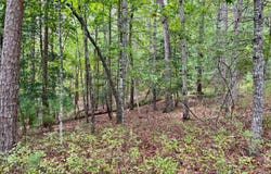 3.85 Ac Old Aska Road S, Blue Ridge, GA 30513
