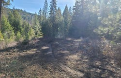 2584 BRIDGEMAN RETTINGER RD, KETTLE FALLS, WA 99141