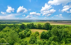 9149 Edith Nankipoo Road, Ripley, TN 38063