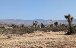 0 Cuyama Road, Apple Valley, CA 92307