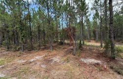 0 (lot 5) Corbitt Road, Manor, GA 31550