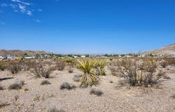 Cottonwood Cove Road, Searchlight, NV 89046