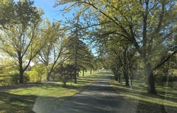 9160 Kingsley Drive, Onsted, MI 49265