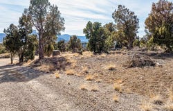 Road 35.3, Mancos, CO 81328