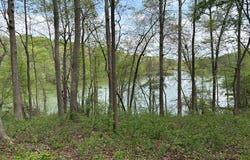 438 Arrowhead Lake Trail, Westminster, SC 29693